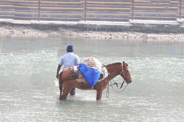Donkey carrying sand from a river bed used for construction work.