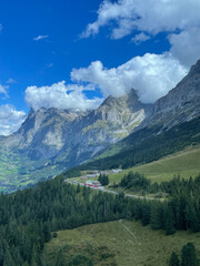 Scenic Swiss Mountain Landscape with Red Train Winding Through Green Valleys and Forests – Travel Photography