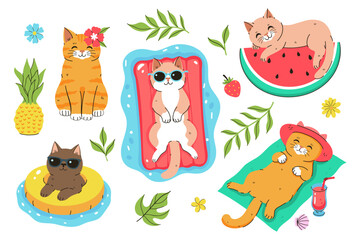 Set of cute summer cats isolate on white background. Vector graphics