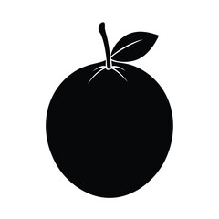 White Sapote Silhouette Vector | Black and White White Sapote Fruit Illustration Design