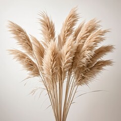 Fototapeta premium Beige Pampas Grass Bouquet on White Background