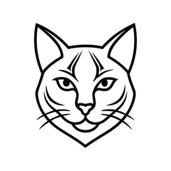vector illustration of a cat