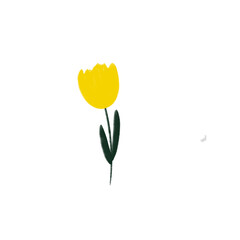  yellow tulip, illustration 