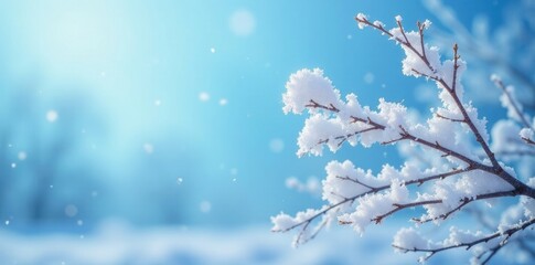 Delicate snow branches against a clear blue sky, serene landscape, snowflake, frosty morning