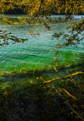 The tranquil transparent waters of lake in the background. Beautiful nature lake. Landscape Reflection off of a clear lake water surface on a bright sunny day. Calm river in the forest.