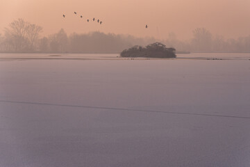 Goczałkowice Zdrój, zamarznięty staw Maciek, widok na ptasią wyspę. © Elżbieta Kaps