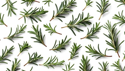 Naklejka premium Rosemary Sprigs Pattern, Flat Lay
