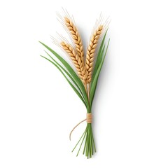 Golden Wheat Stalks Tied with Twine
