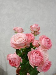 bouquet of pink roses