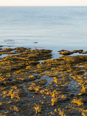 Sunlight Hits the Rocks at Castle Beach.