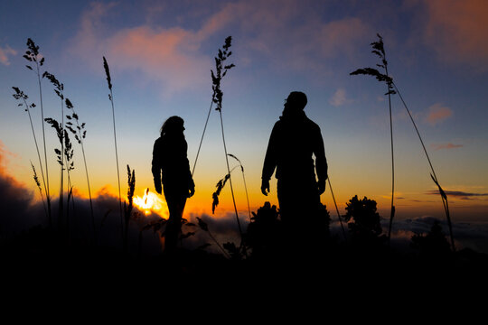 Silhouettes et soleil levant