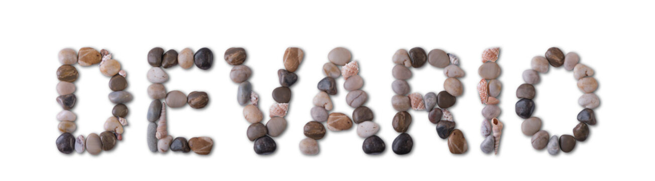 The word "DEVARIO" is lined with shells and stones of different shapes and colors on a transparent background. Types of fish and seafood, price tag, sea food, fish market, sea alphabet.