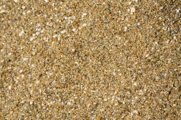 Diamond Head Beach Park, Honolulu, Oahu, Hawaii. olivine sand. Shells and Coral Sand. Bioerosion
