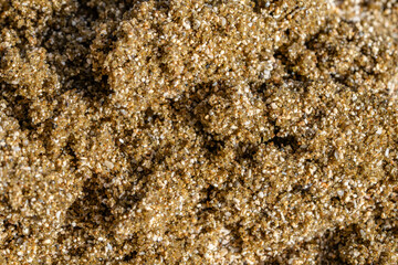 Diamond Head Beach Park, Honolulu, Oahu, Hawaii. olivine sand. Shells and Coral Sand. Bioerosion
