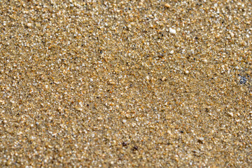 Diamond Head Beach Park, Honolulu, Oahu, Hawaii. olivine sand. Shells and Coral Sand. Bioerosion
