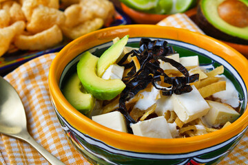 メキシコのトルティージャのスープ　ソパ・デ・トルティージャ（ソパ・アステカ） Mexican tortilla soup　Sopa de Tortilla (Sopa Azteca）