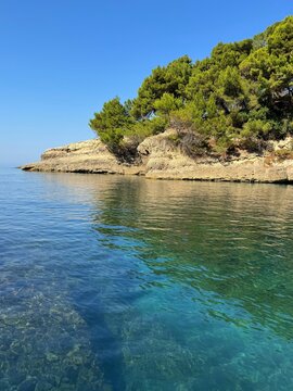 Turquoise sea and cliff overgrown pines in summer.