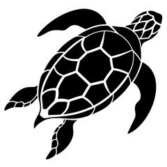 turtle vector illustration
