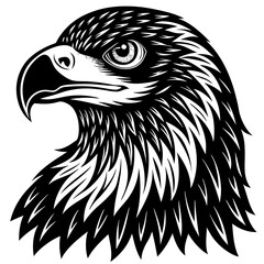 eagle head vector illustration