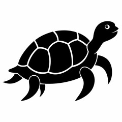 vector illustration of turtle