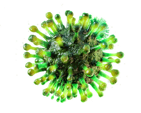 Virus flu infection 3D medical illustration isolated on transparent background. Microscopic view of floating illness respiratory influenza virus cells. Dangerous illness  avian virus, pandemic risk