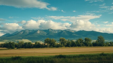 Fototapeta premium Panorama of Mountains 