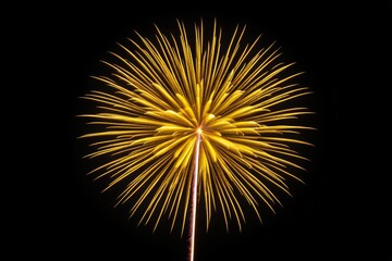 Obraz premium araffe of yellow fireworks in the dark sky with a black background