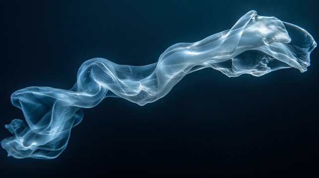A translucent salp chain floating like a ghostly ribbon through the deep water
