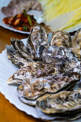 steamed oysters on the dish