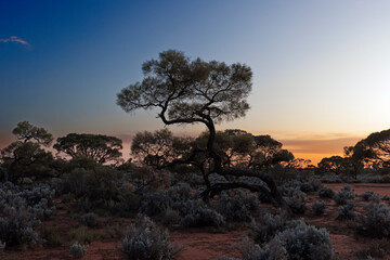 typical central Australian outback landscape at the end of the day