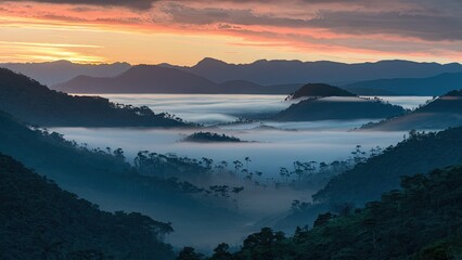 Serene sunrise over mist-covered mountains with soft pastel colors of dawn illuminating the foggy valley and lush green forests below.
