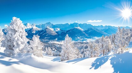 Fototapeta premium Snowy pine trees in mountain landscape. Vector illustration
