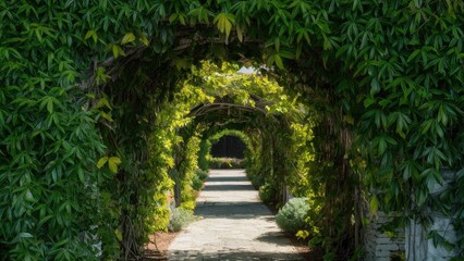 Fototapeta premium Lush green archway created by climbing plants forming a natural pathway, sunlight filtering through leaves, serene garden atmosphere.