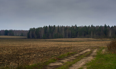 autumn landscape with trees