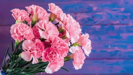 Obraz premium Pink carnations bouquet arranged in a blue vase on a rustic purple wooden background showcasing vibrant blooms and lush green leaves.