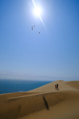 Two explorers stand atop the dunes, gazing at the endless horizon as flamingos soar under the radiant sun in Sandwich Harbour's breathtaking wilderness.