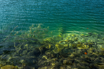 Calm water lake. The tranquil transparent waters of lake in the background. Beautiful nature lake. Landscape Reflection off of a clear lake water surface on a bright sunny day.