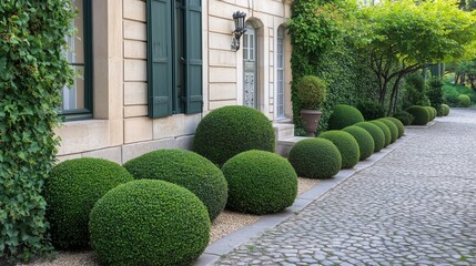 A symmetrical arrangement of spherical boxwood bushes in a structured garden layout, enhancing the exterior of a building with clean lines