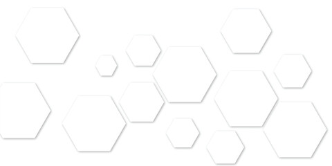 Abstract white and gray hexagon technology lines background. Abstract white and grey color hexagonal geometric background with copy space. Abstract white lines background.