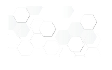 Abstract white and gray hexagon technology lines background. Abstract white and grey color hexagonal geometric background with copy space. Abstract white lines background.