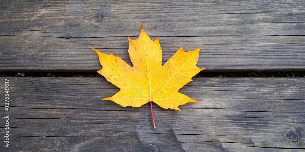 Aufkleber close-up of a vibrant yellow maple leaf centered on a rustic wooden surface showcasing autumn colors