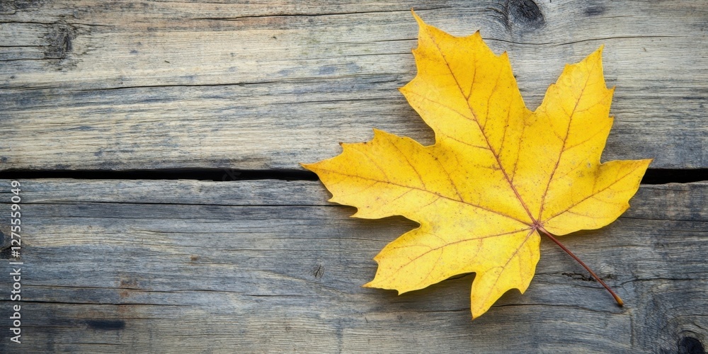 Poster bright yellow maple leaf resting on weathered wooden desk with rustic texture, showcasing autumnal c