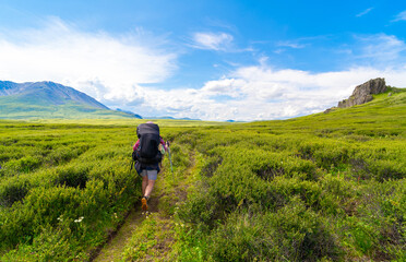 Naklejka premium solo trekking trip in backcountry