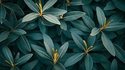 Lush Teal Green Leaves Dense Foliage Pattern