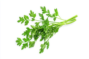 Obraz premium Fresh carrot PNG with 0n isoleted white background 