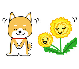 ありがとうとお辞儀するしばいぬとタンポポ
