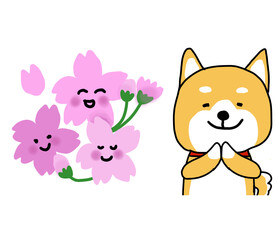 桜の花を見て喜ぶしばいぬ