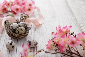 Easter decoration with quail easter eggs and spring flowers on rustic white wooden background
