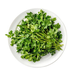 Fresh Cilantro on White Plate isolated on transparent background