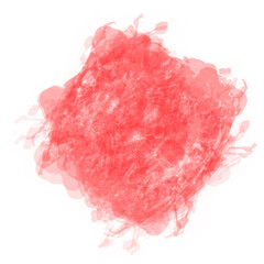 pink rose petals